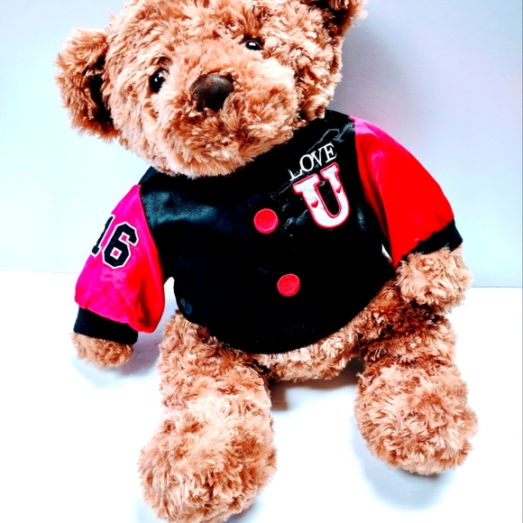 EUC Dan Dee Collector's Plush 17 " Brown Teddy Bear with Love U on the jacket - Picture 6 of 14
